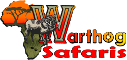 Warthog Safaris