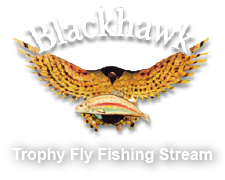 Blackhawk Fly Fishing