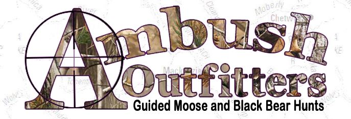 Ambush Outfitters