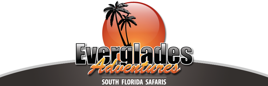Everglades Adventures